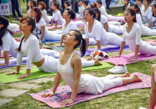 翠华山这回真玩儿大了，健身休闲活动引爆热潮