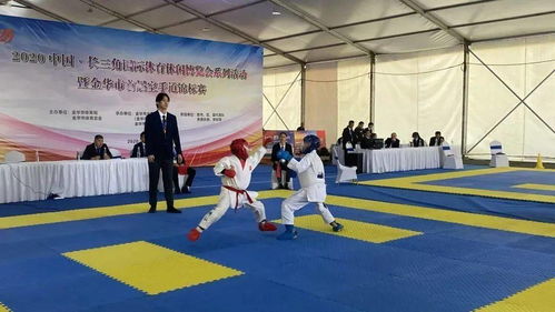 武道韵起 2020年金华市首届空手道锦标赛圆满落幕